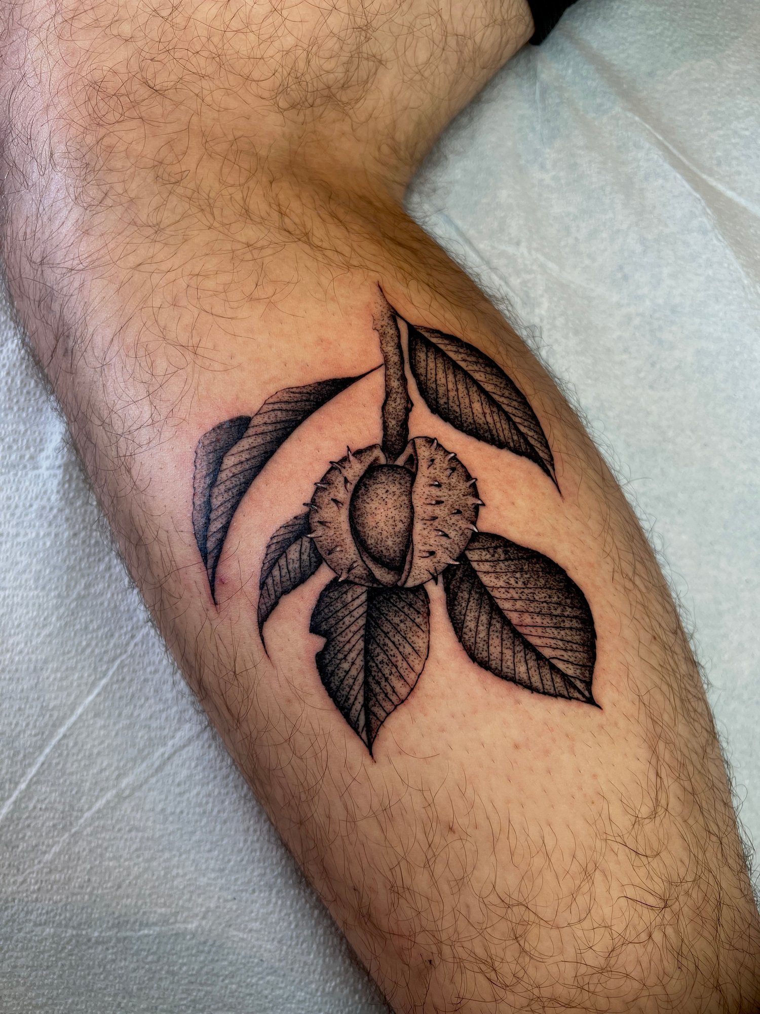 Fineline black and grey stippled tattoo, Portland, Oregon