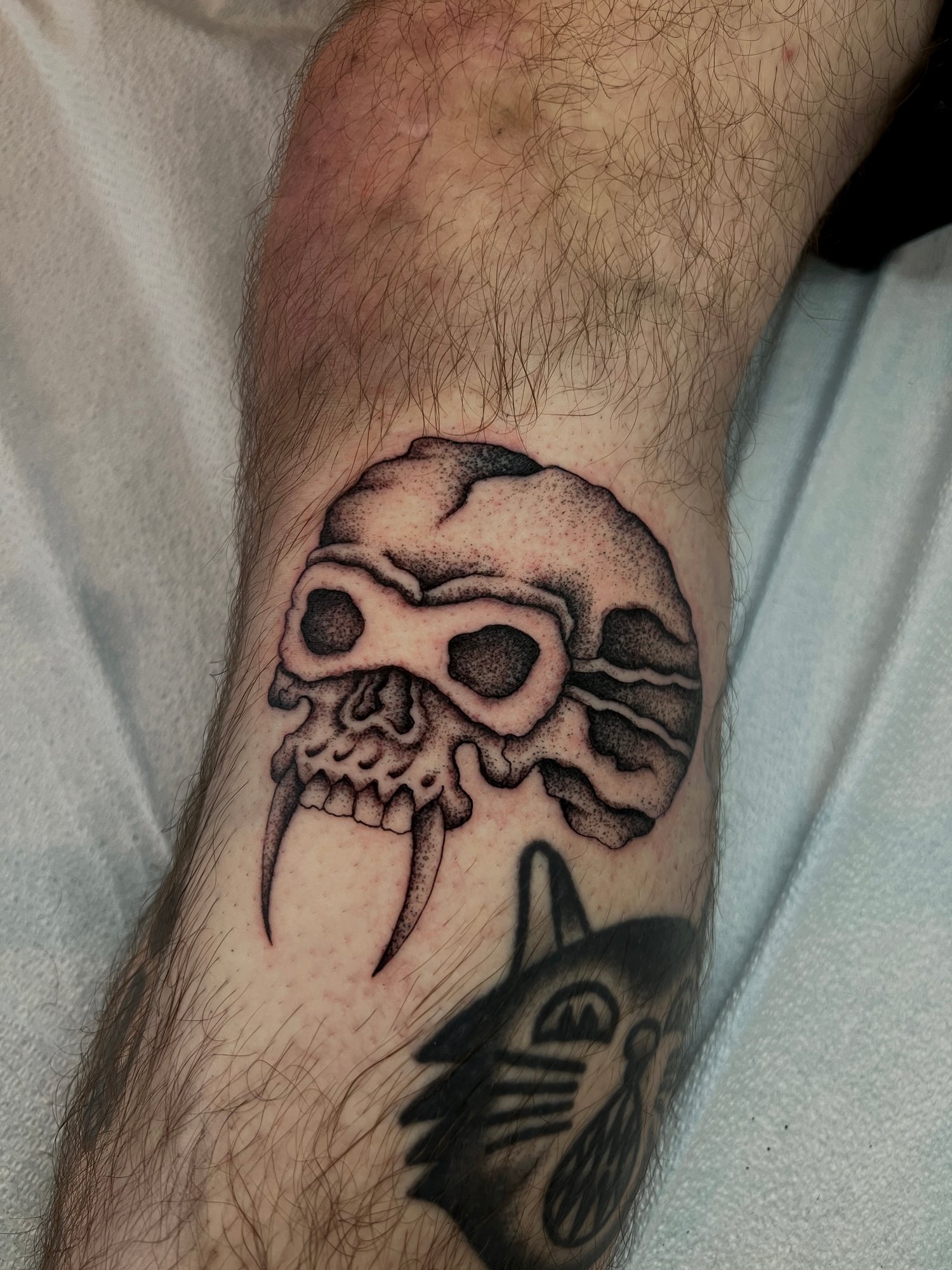 Fineline black and grey stippled tattoo of a skull, Portland, Oregon