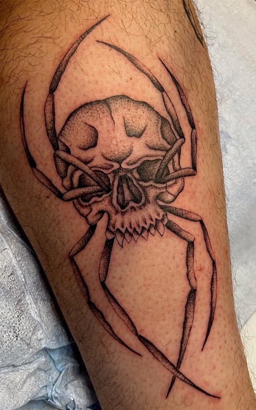 fineline spider skull tattoo, portland, oregon